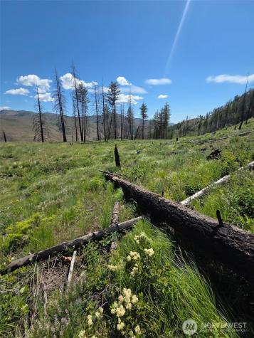 0 Golden Creek Loop Road Carlton WA 98814