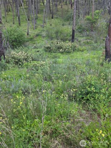 0 Golden Creek Loop Road Carlton WA 98814