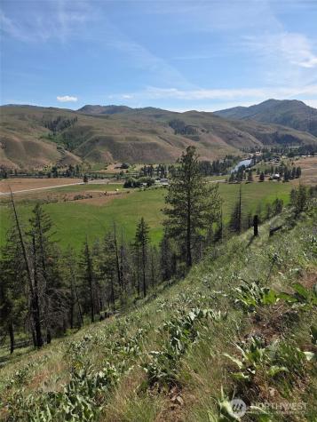 0 Golden Creek Loop Road Carlton WA 98814