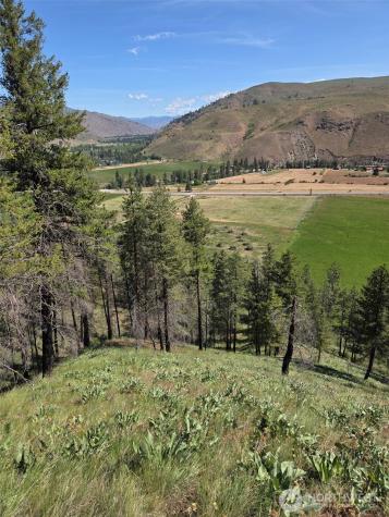 0 Golden Creek Loop Road Carlton WA 98814