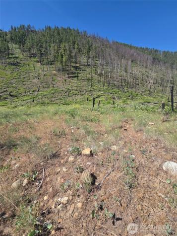 0 Golden Creek Loop Road Carlton WA 98814