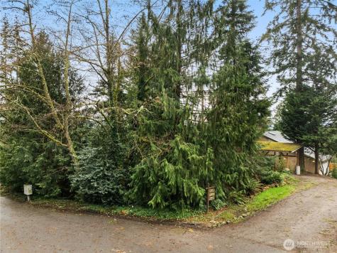 0 209th Avenue NE Sammamish WA 98074