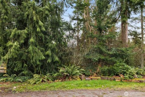 0 209th Avenue NE Sammamish WA 98074
