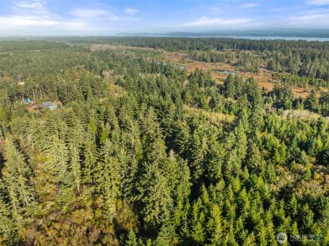 0 147th Street Long Beach WA 98631