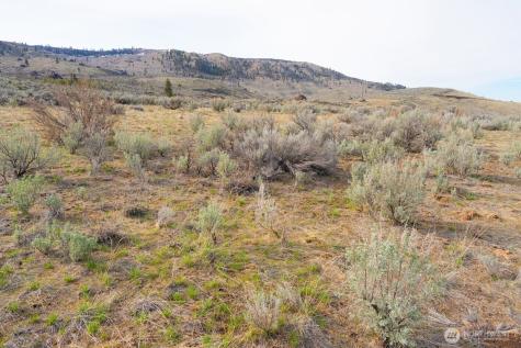 0 Parcel A Mcneil Canyon Road Orondo WA 98816