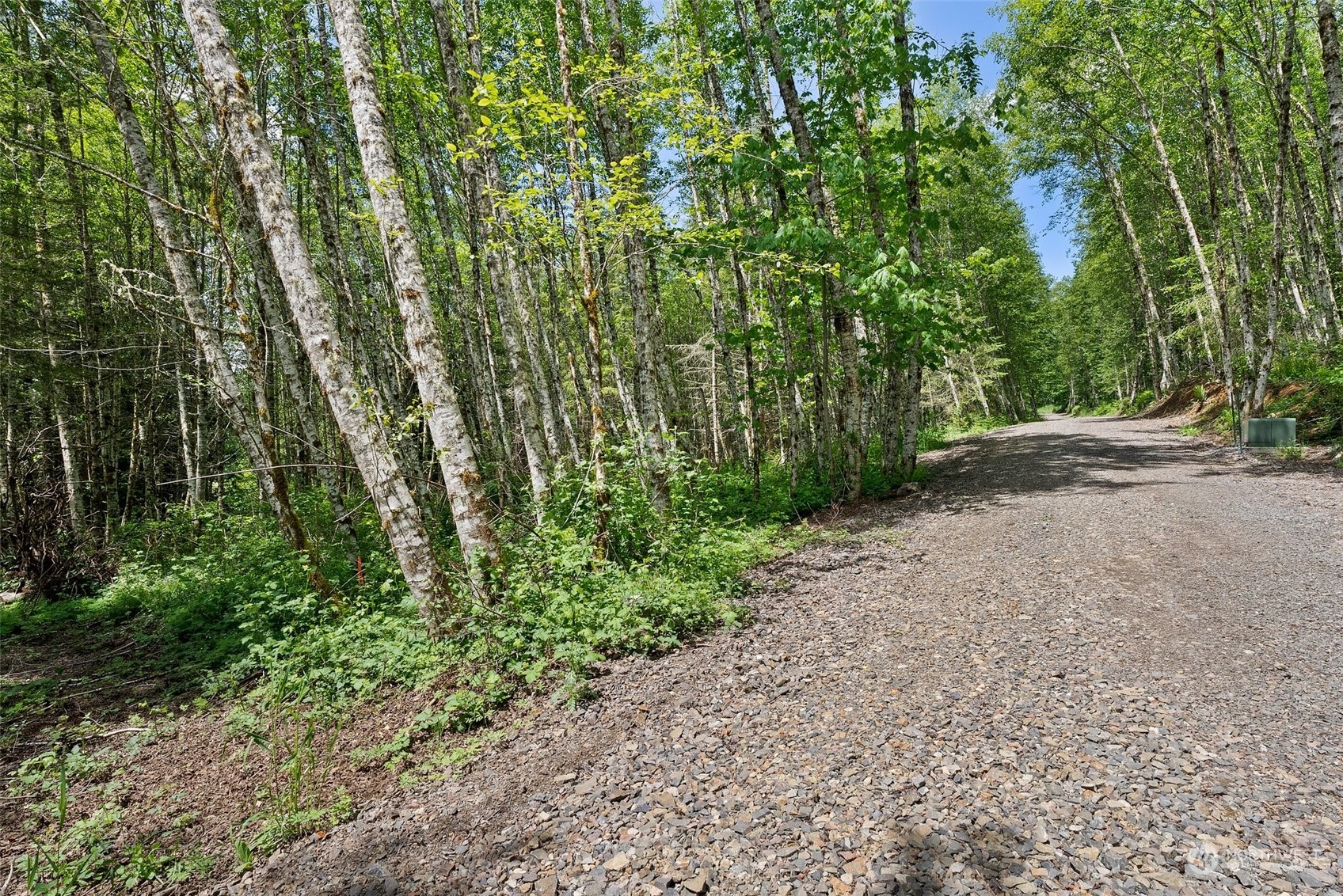178 Owl Creek Lane Morton WA 98356
