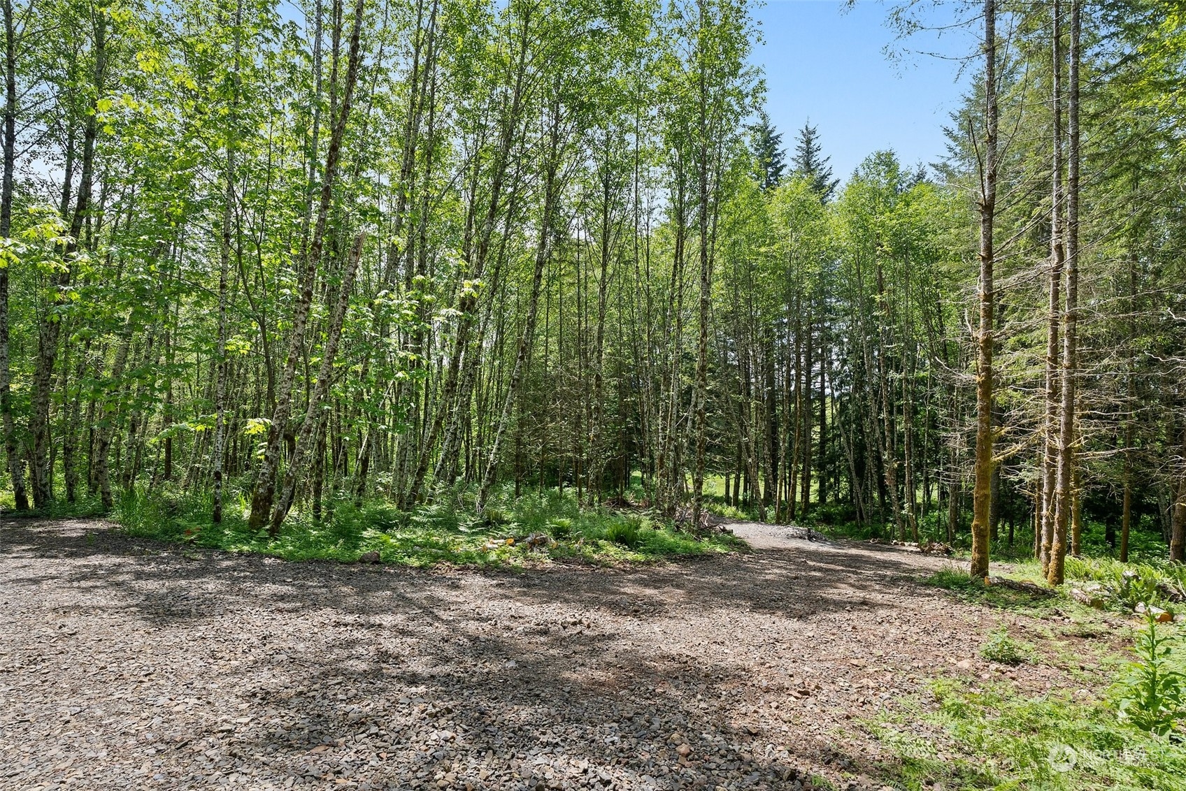 178 Owl Creek Lane Morton WA 98356