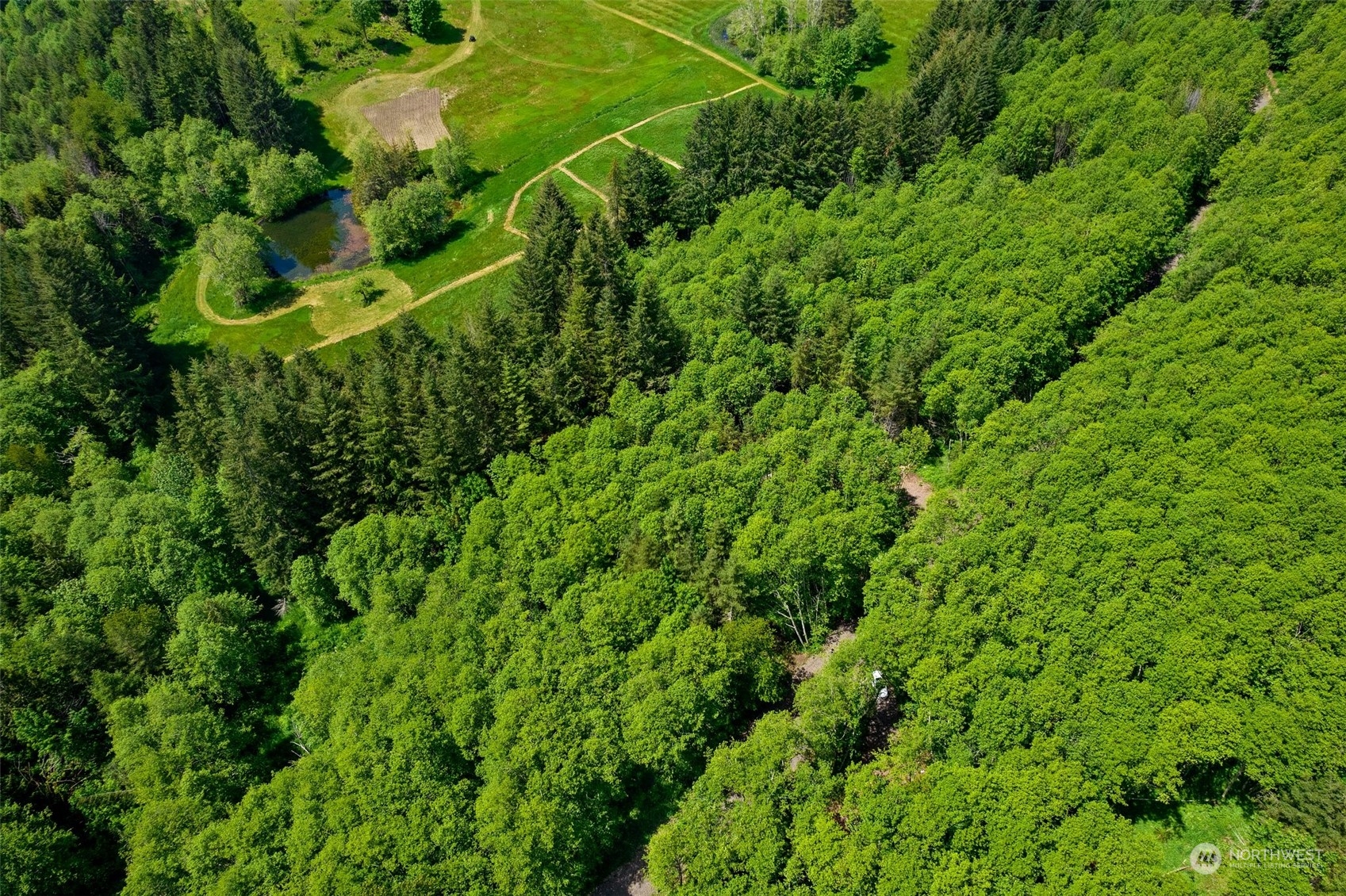 178 Owl Creek Lane Morton WA 98356
