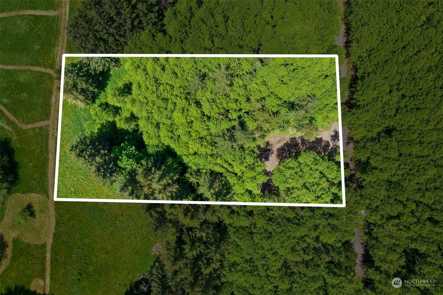 178 Owl Creek Lane Morton WA 98356
