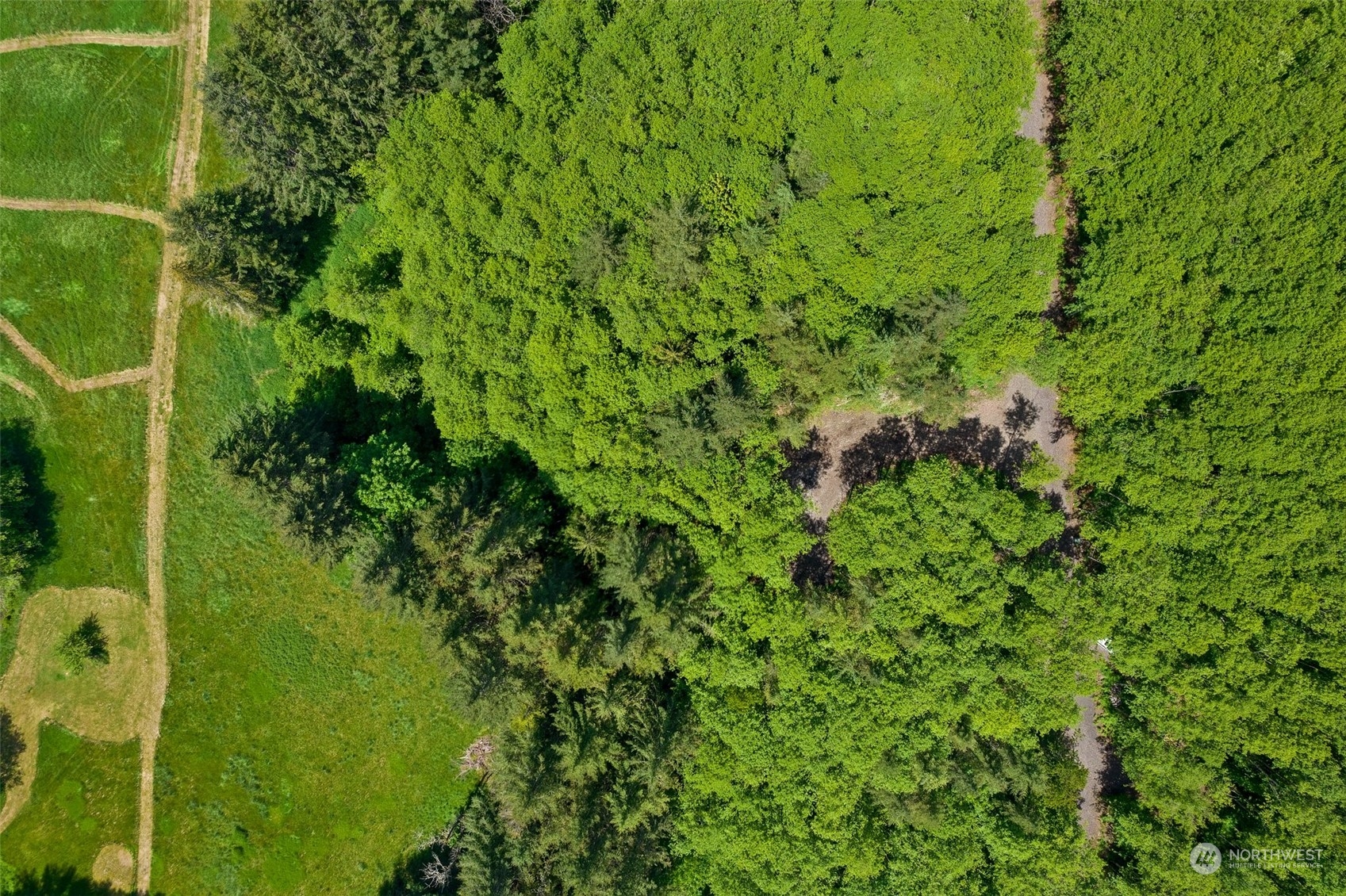 178 Owl Creek Lane Morton WA 98356
