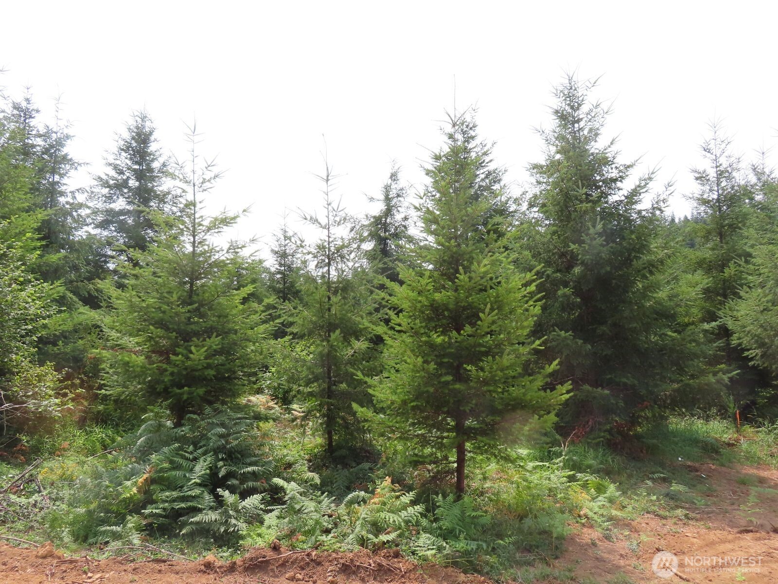 0 Mill Creek Lane Longview WA 98632