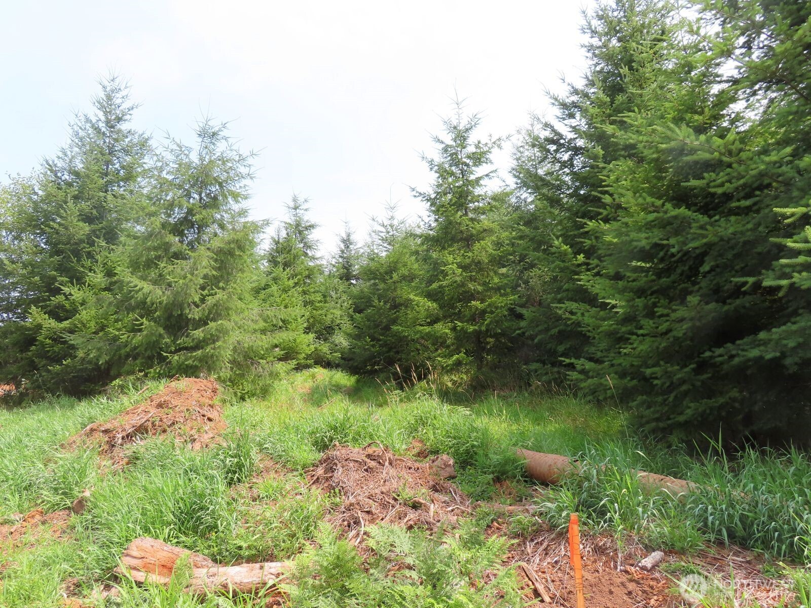 0 Mill Creek Lane Longview WA 98632