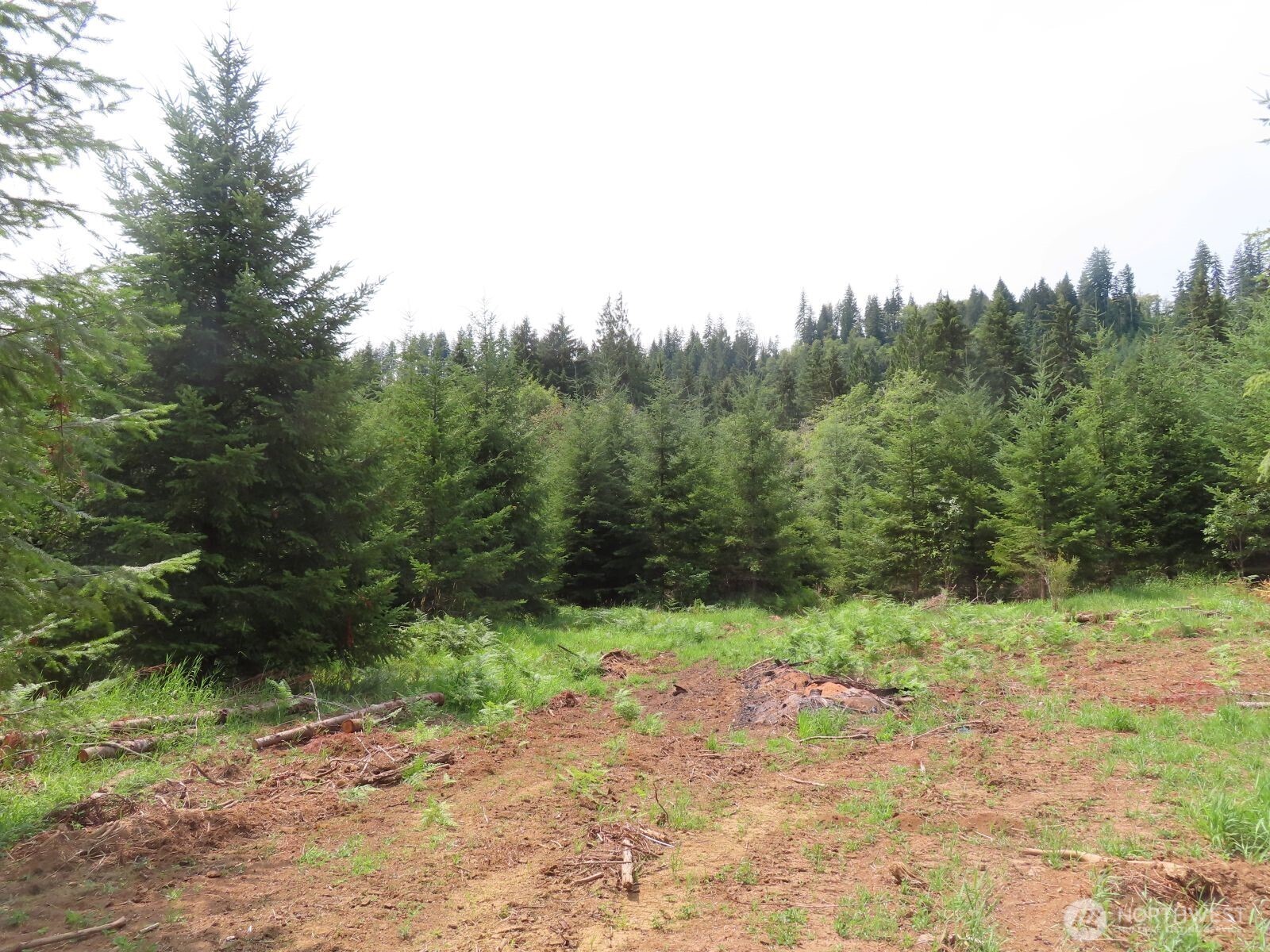 0 Mill Creek Lane Longview WA 98632