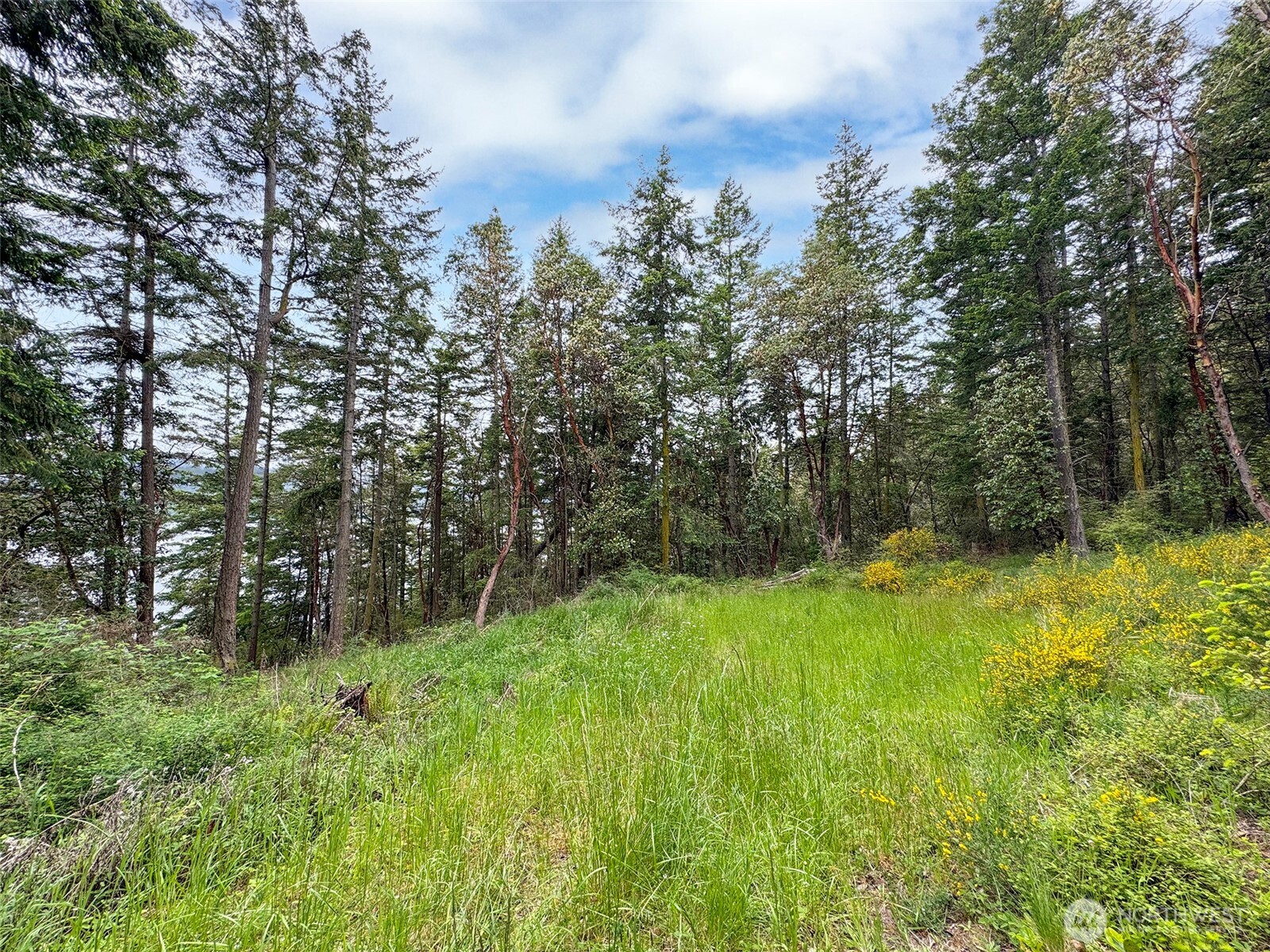 136 Discovery Crest Place Port Townsend WA 98368