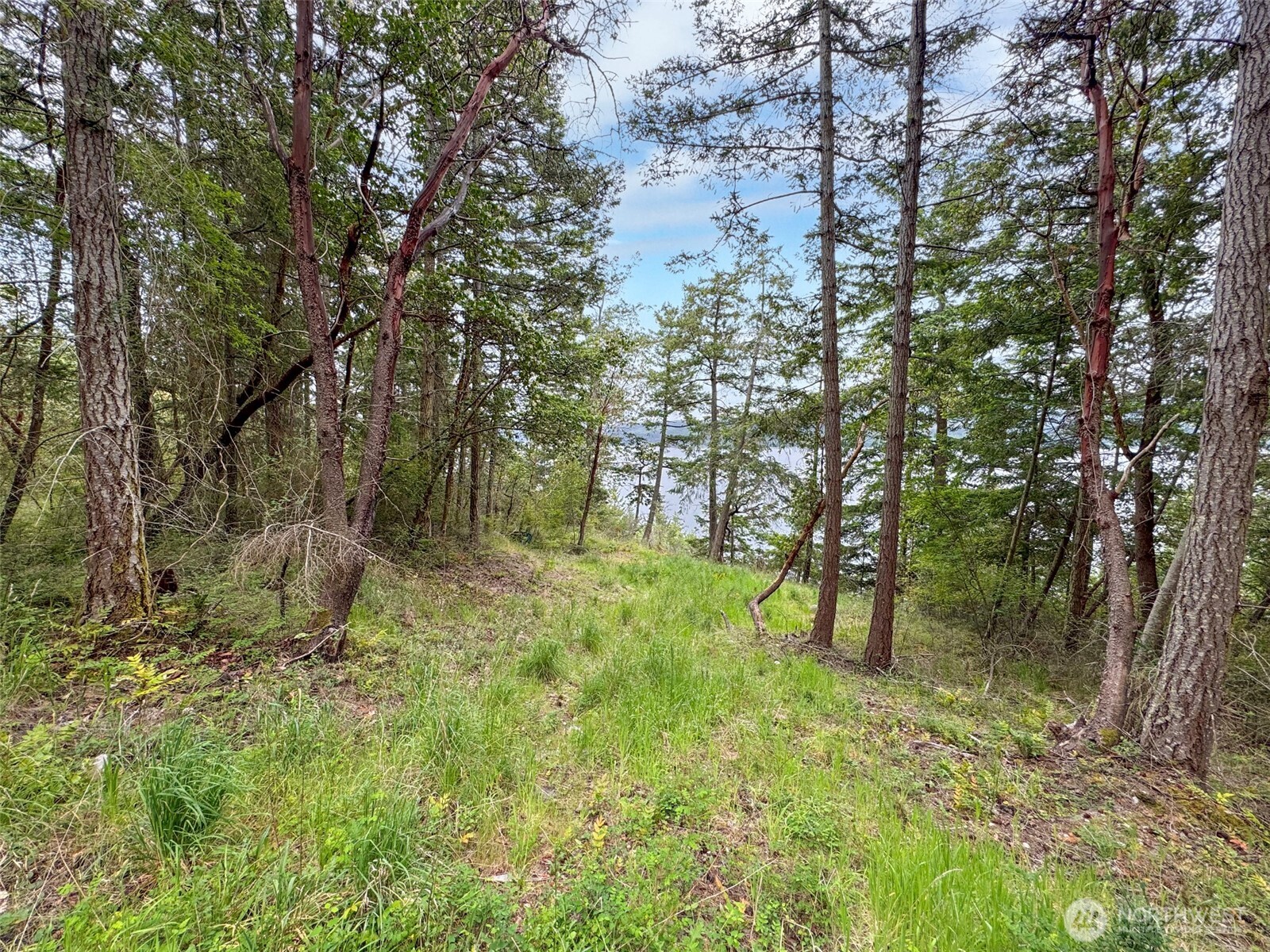 136 Discovery Crest Place Port Townsend WA 98368