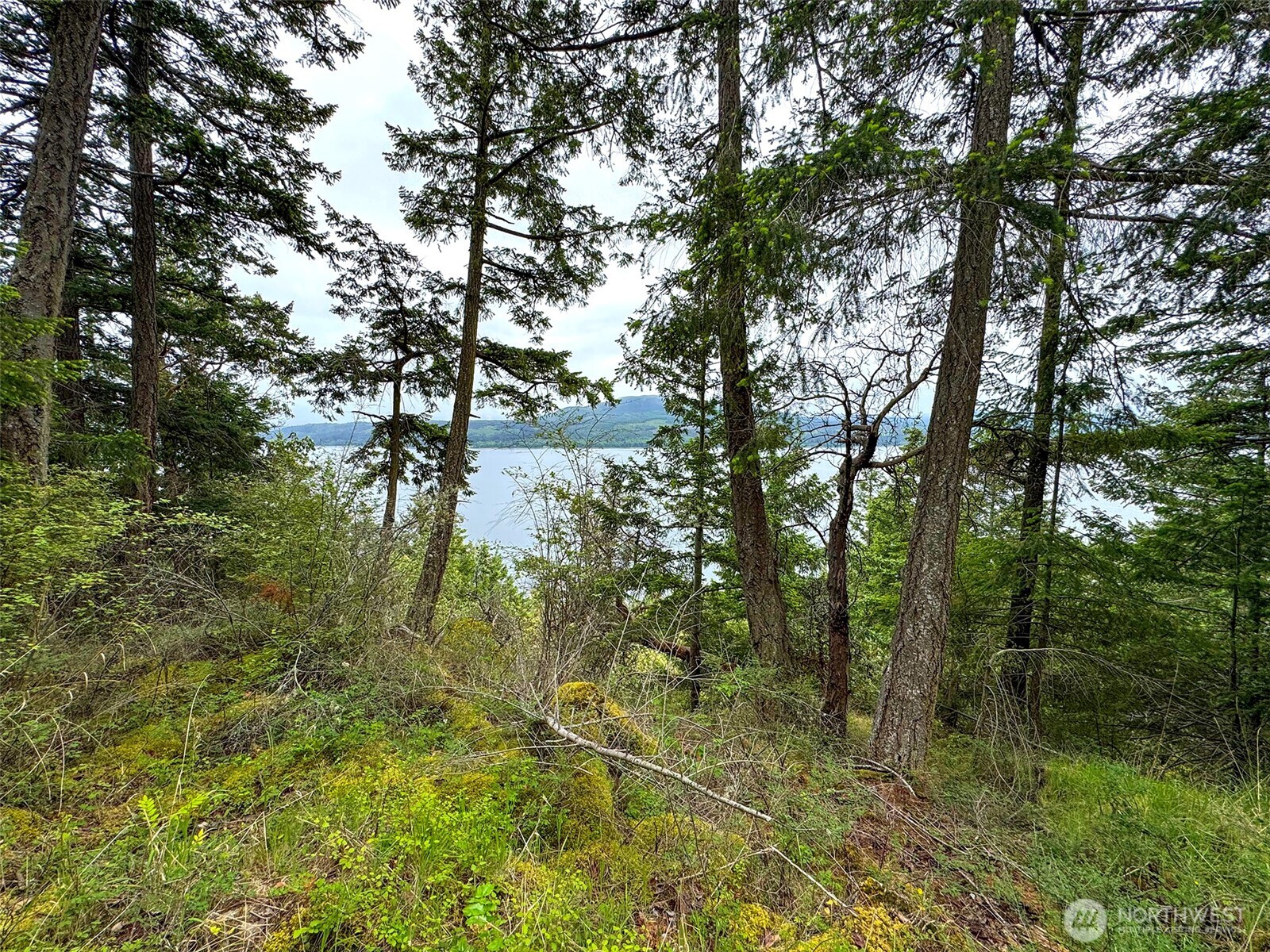 136 Discovery Crest Place Port Townsend WA 98368