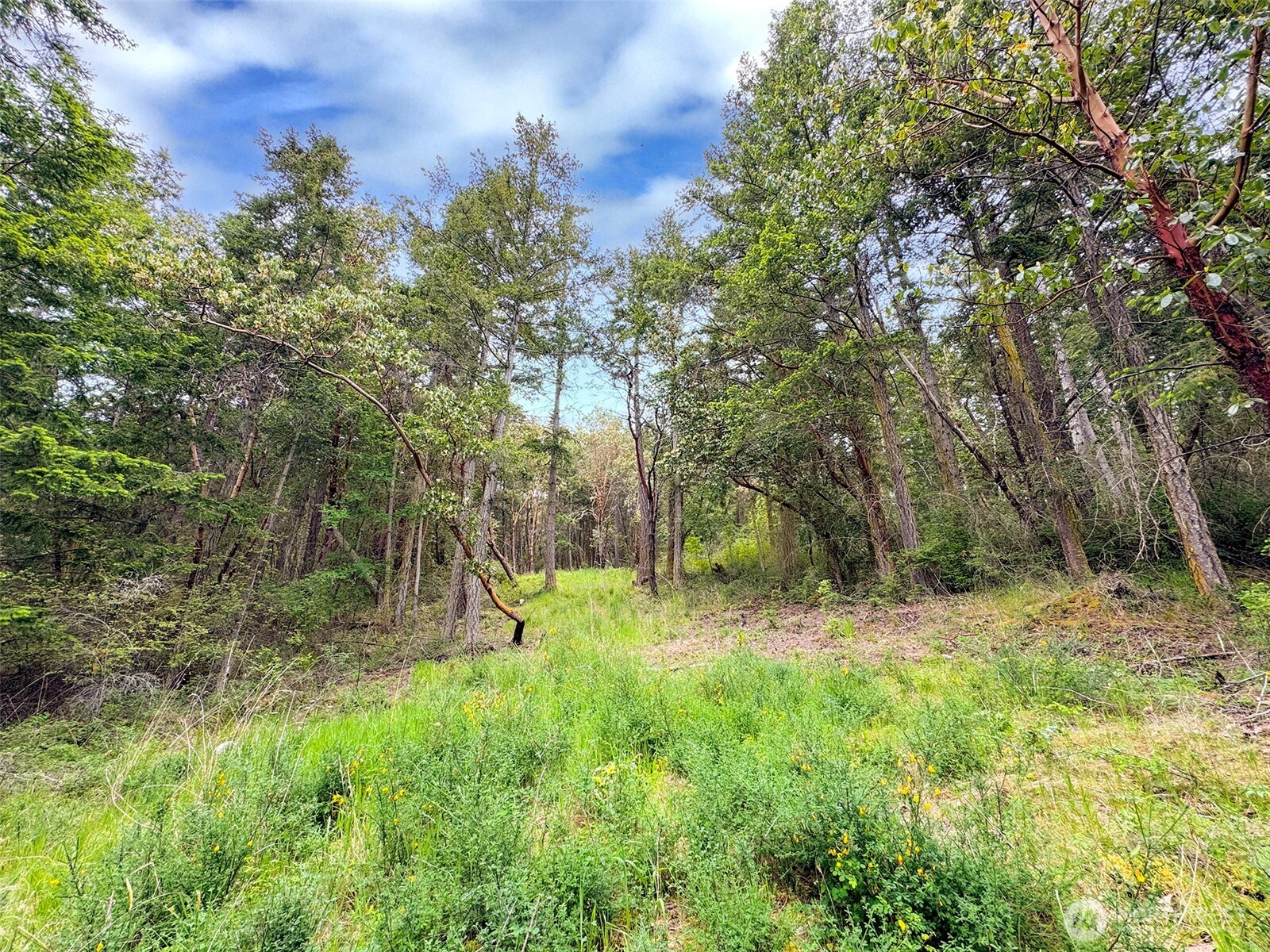 136 Discovery Crest Place Port Townsend WA 98368