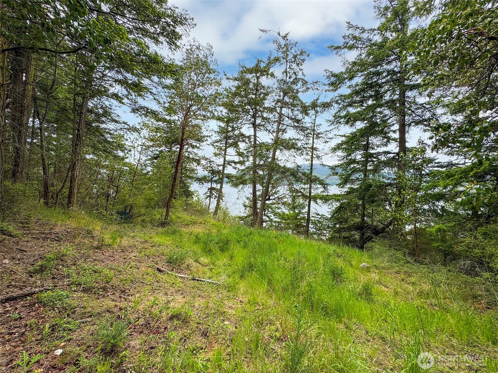 136 Discovery Crest Place Port Townsend WA 98368