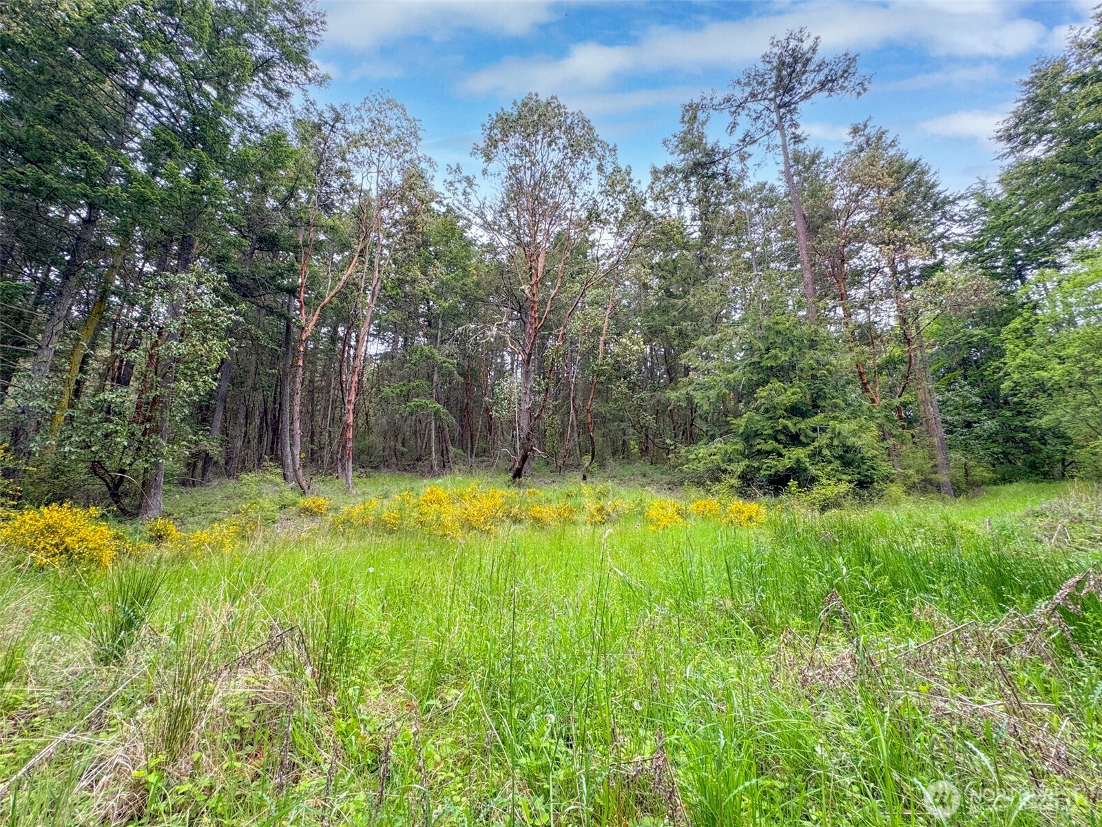 136 Discovery Crest Place Port Townsend WA 98368