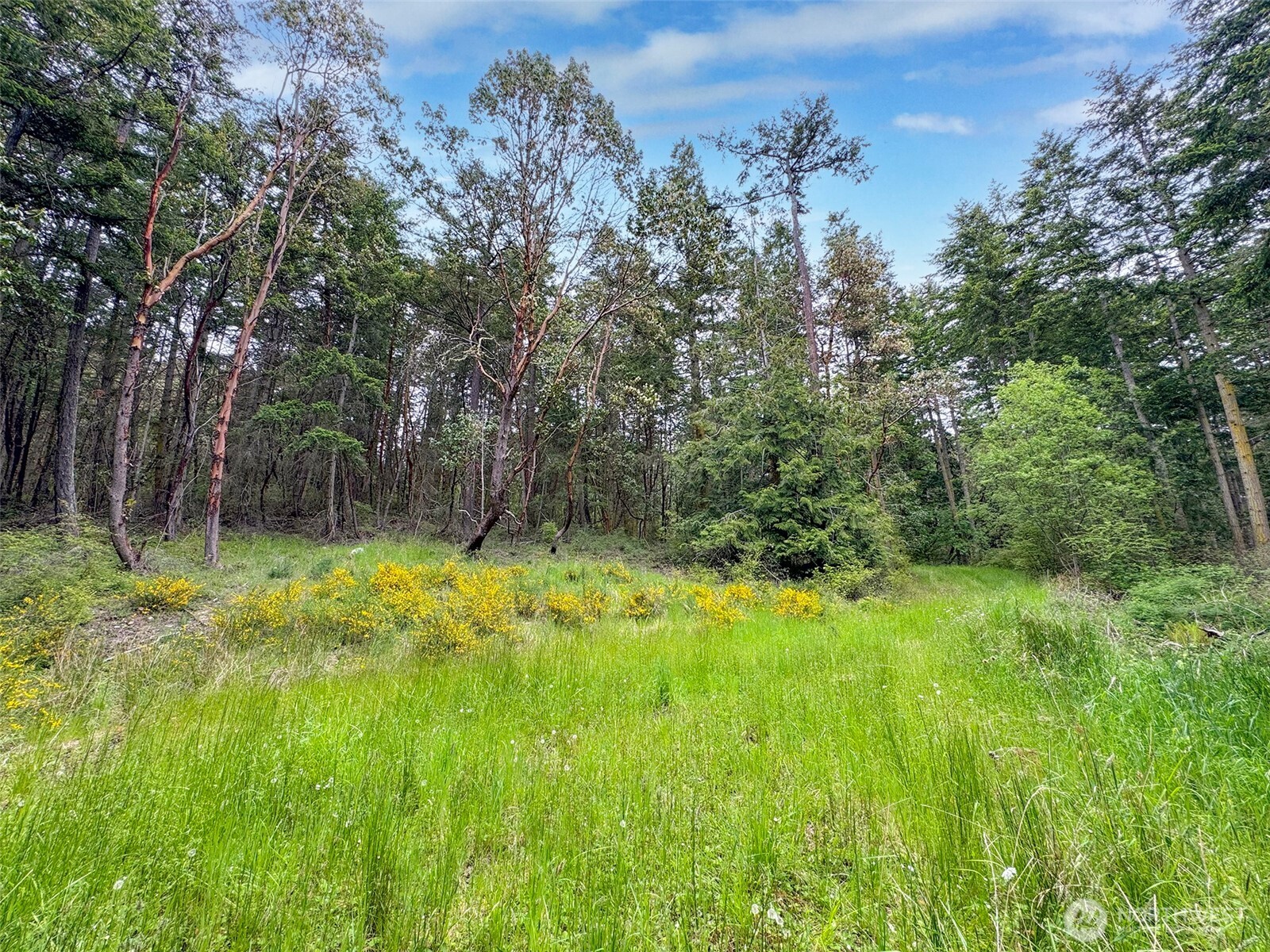 136 Discovery Crest Place Port Townsend WA 98368