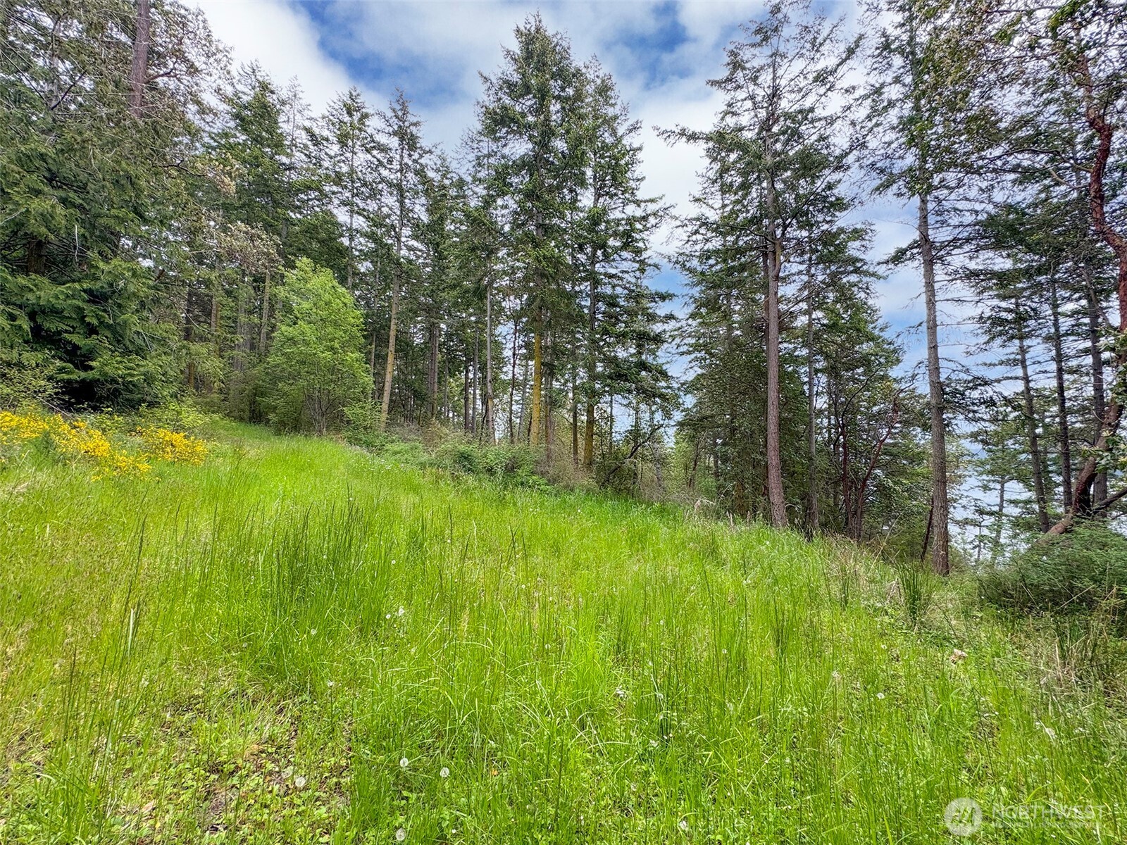 136 Discovery Crest Place Port Townsend WA 98368