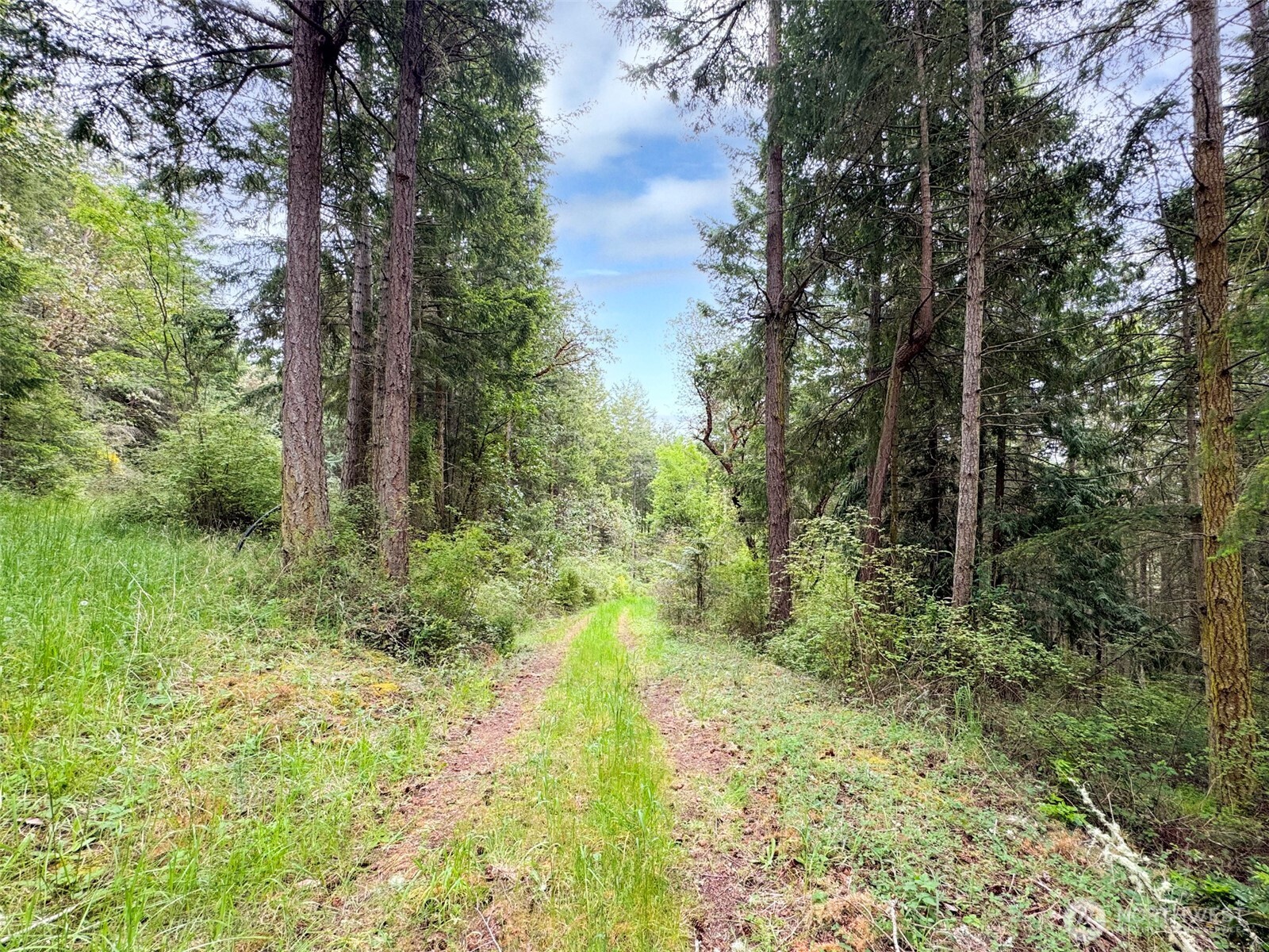 136 Discovery Crest Place Port Townsend WA 98368