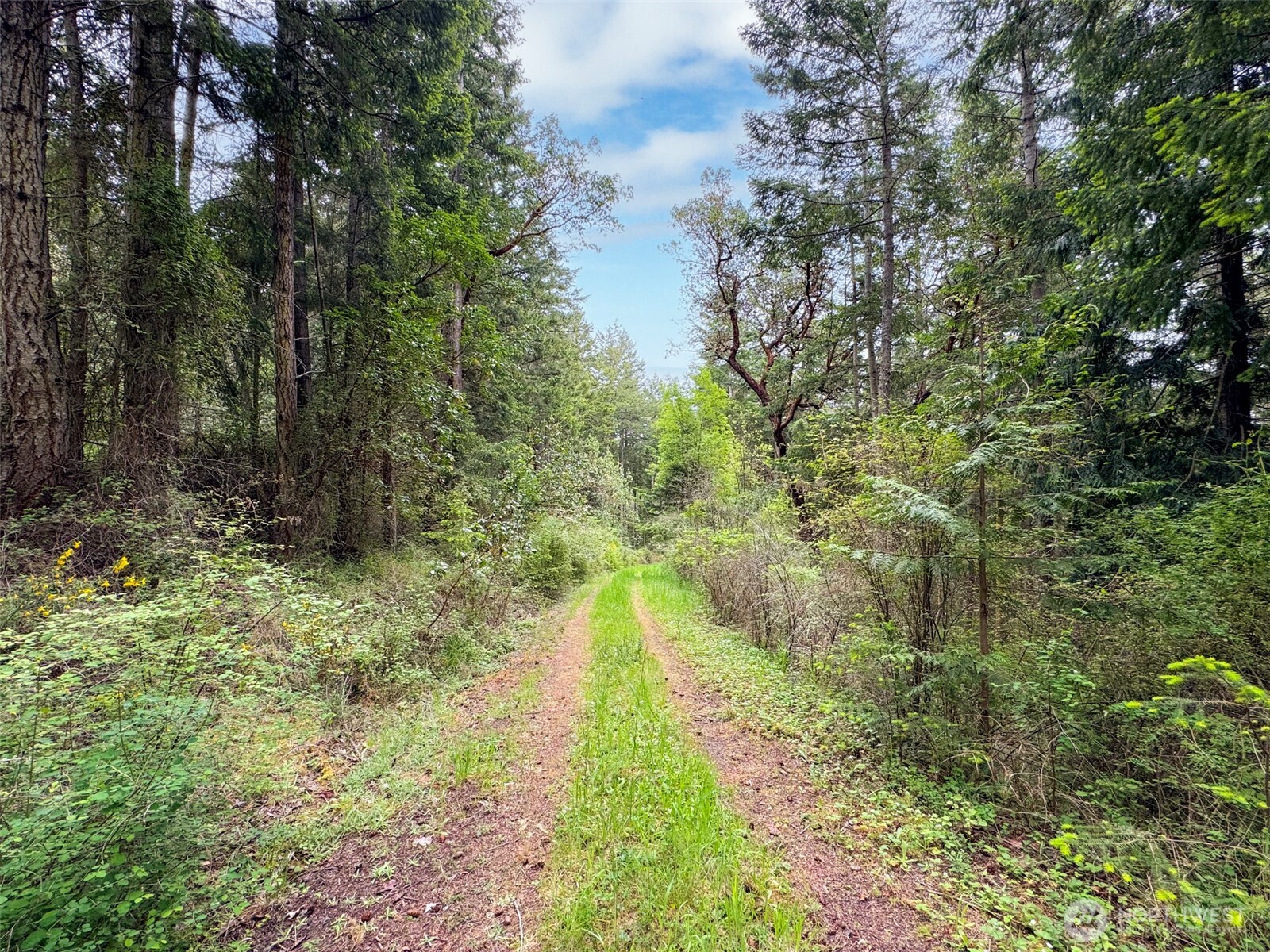 136 Discovery Crest Place Port Townsend WA 98368