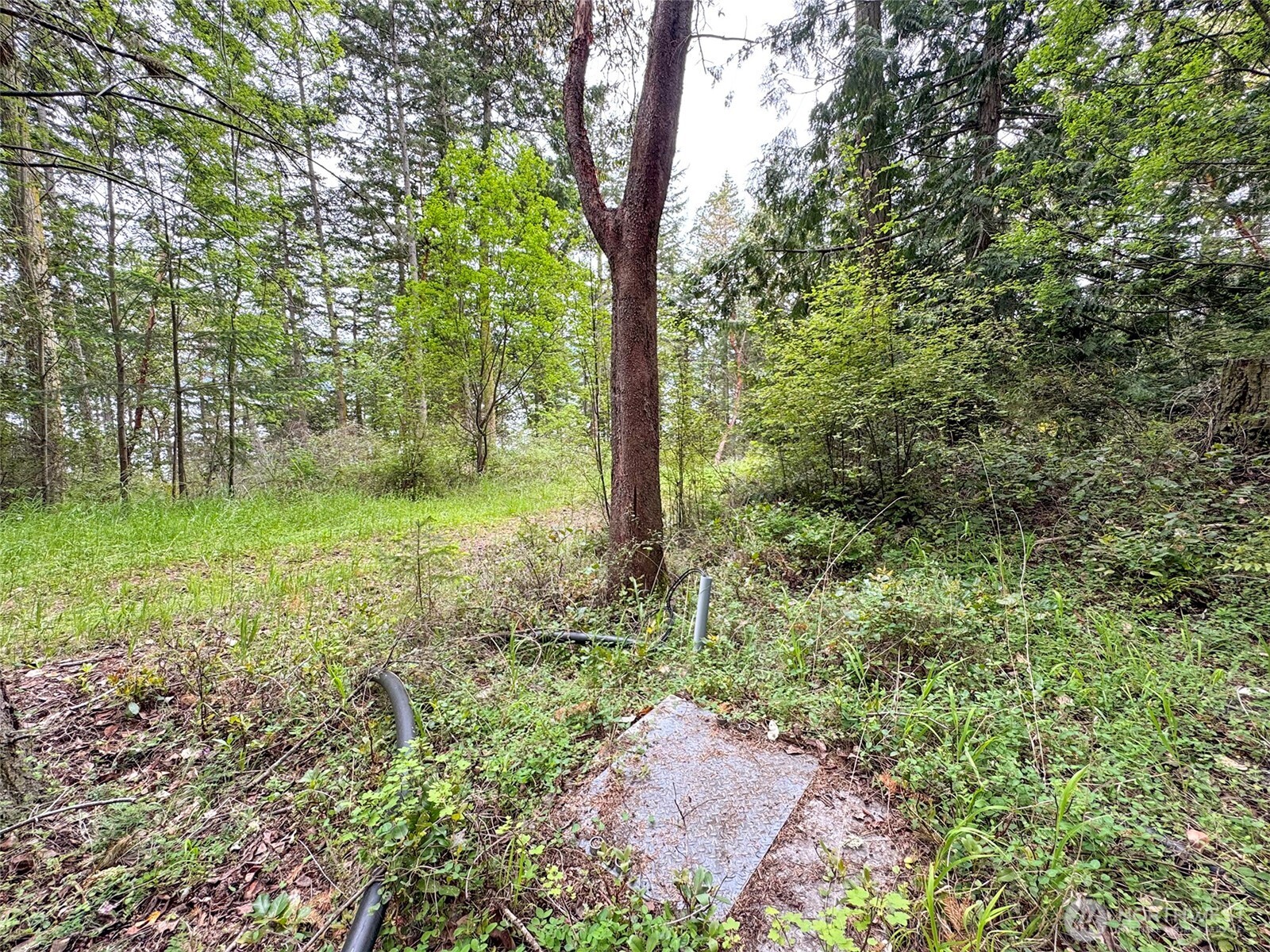 136 Discovery Crest Place Port Townsend WA 98368
