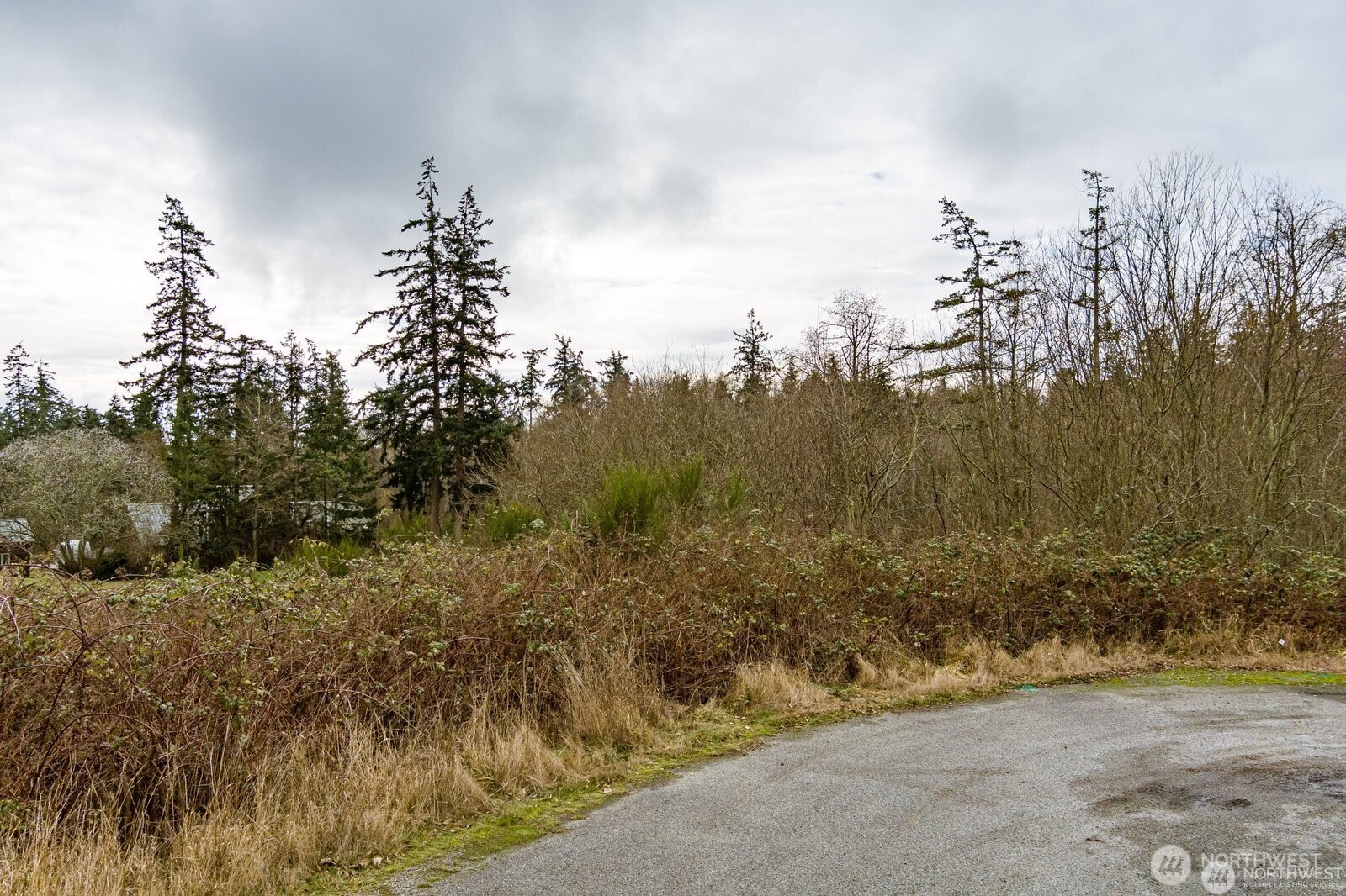 0 Dunlap Drive Freeland WA 98249