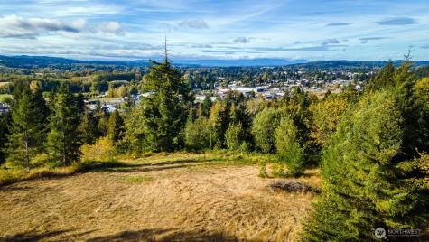 1980 Salzer Creek Drive Centralia WA 98531