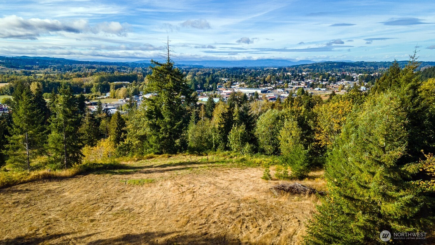 1980 Salzer Creek Drive Centralia WA 98531