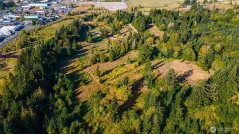 1980 Salzer Creek Drive Centralia WA 98531