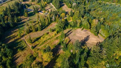1980 Salzer Creek Drive Centralia WA 98531