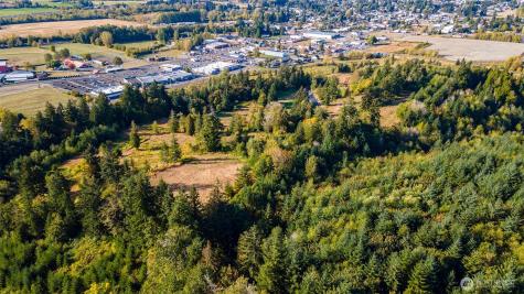 1980 Salzer Creek Drive Centralia WA 98531
