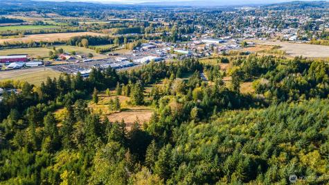 1980 Salzer Creek Drive Centralia WA 98531