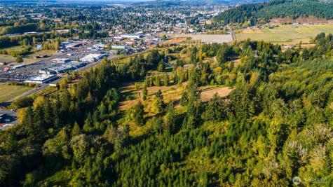 1980 Salzer Creek Drive Centralia WA 98531