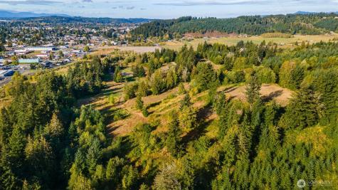 1980 Salzer Creek Drive Centralia WA 98531