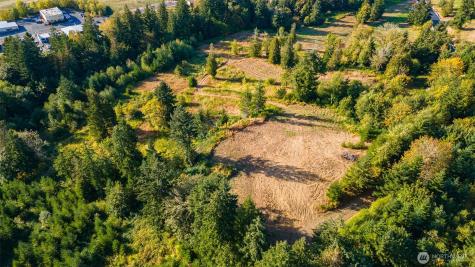 1980 Salzer Creek Drive Centralia WA 98531