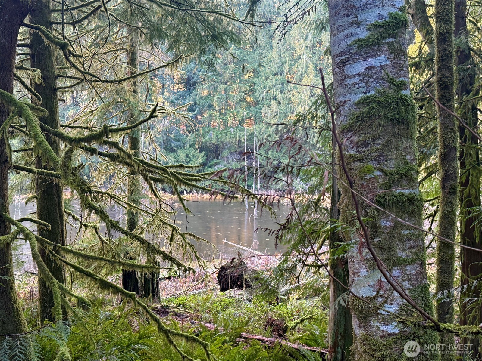 105 E Lakewood Drive Belfair WA 98528