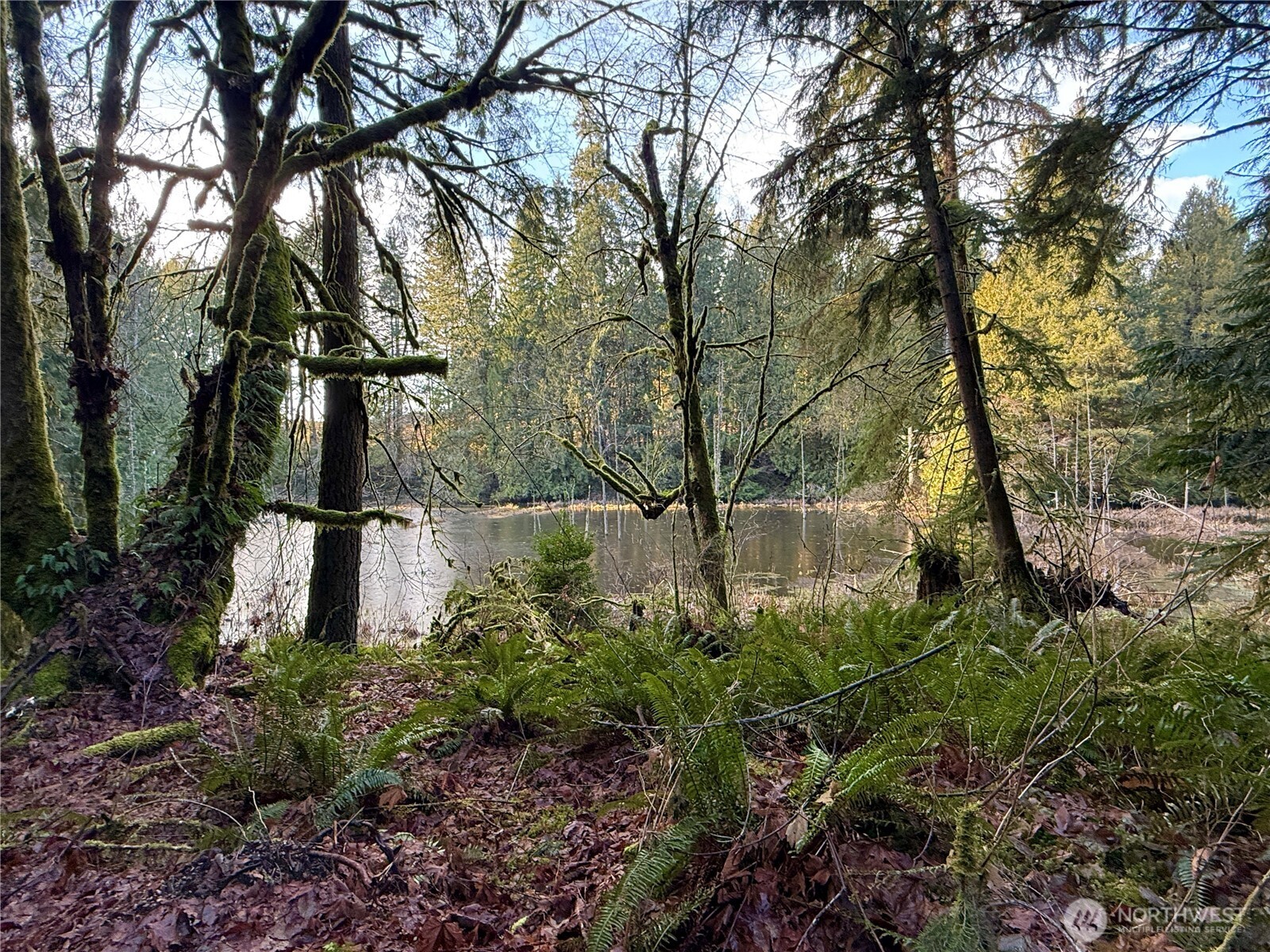 105 E Lakewood Drive Belfair WA 98528