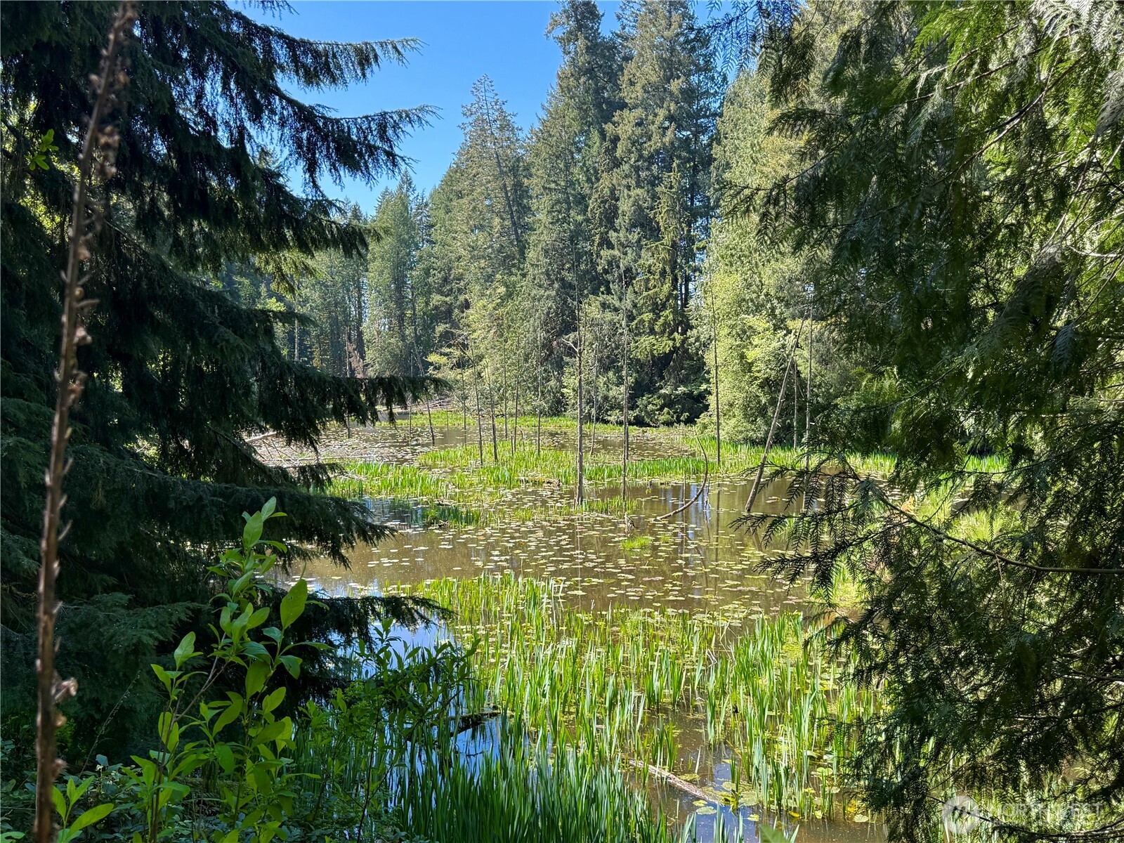 105 E Lakewood Drive Belfair WA 98528