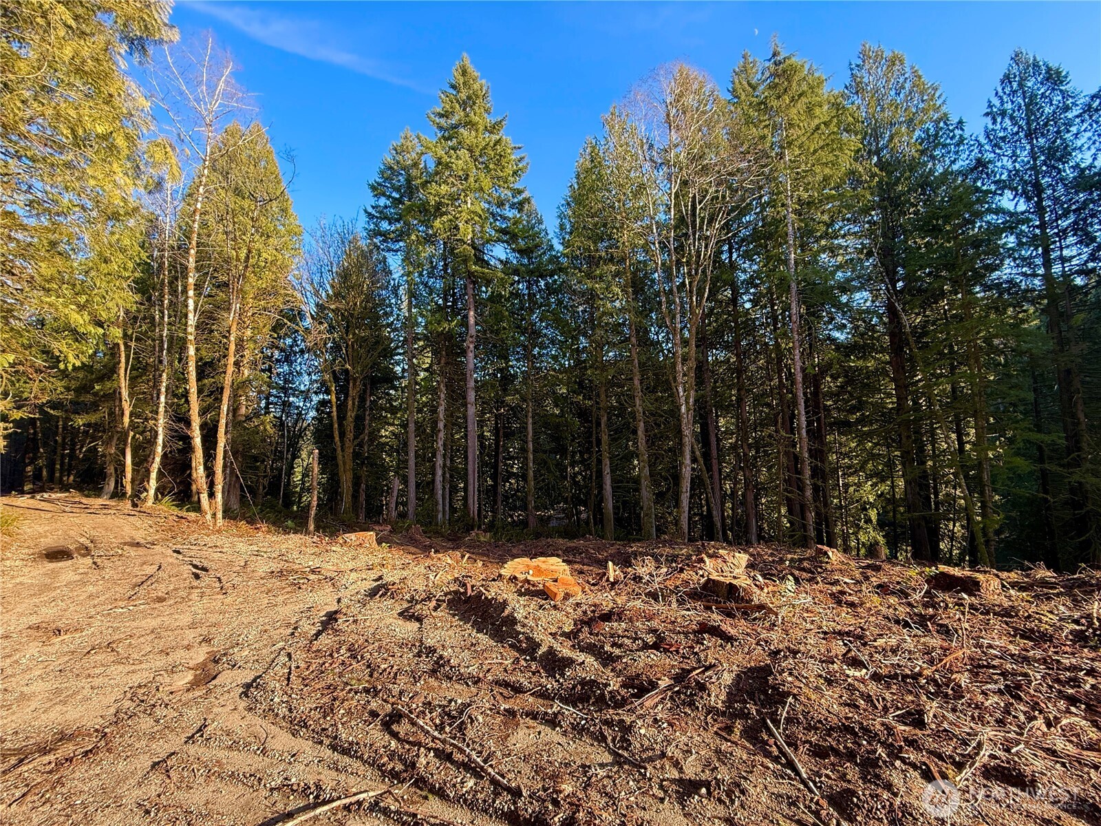 105 E Lakewood Drive Belfair WA 98528