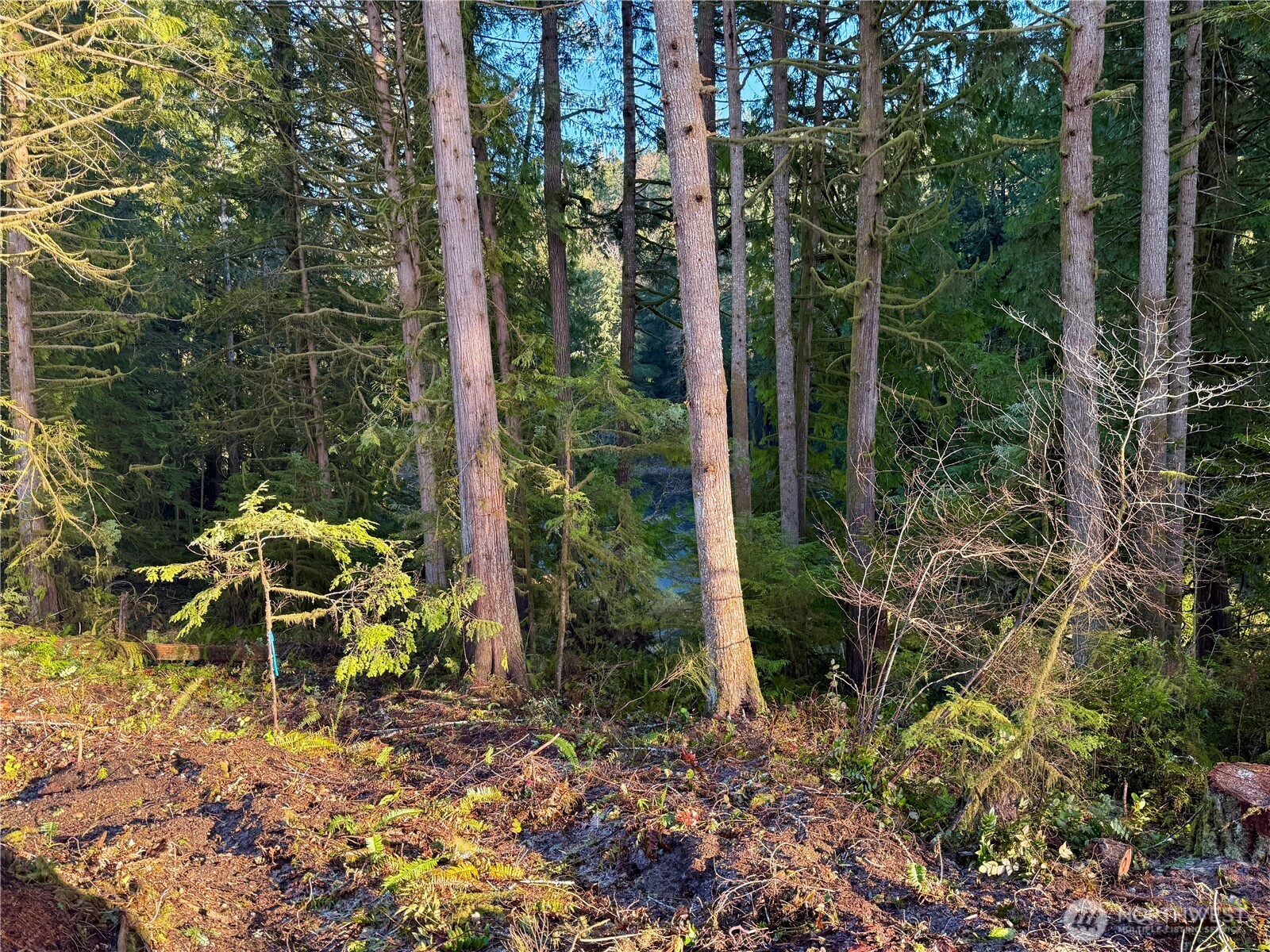 105 E Lakewood Drive Belfair WA 98528