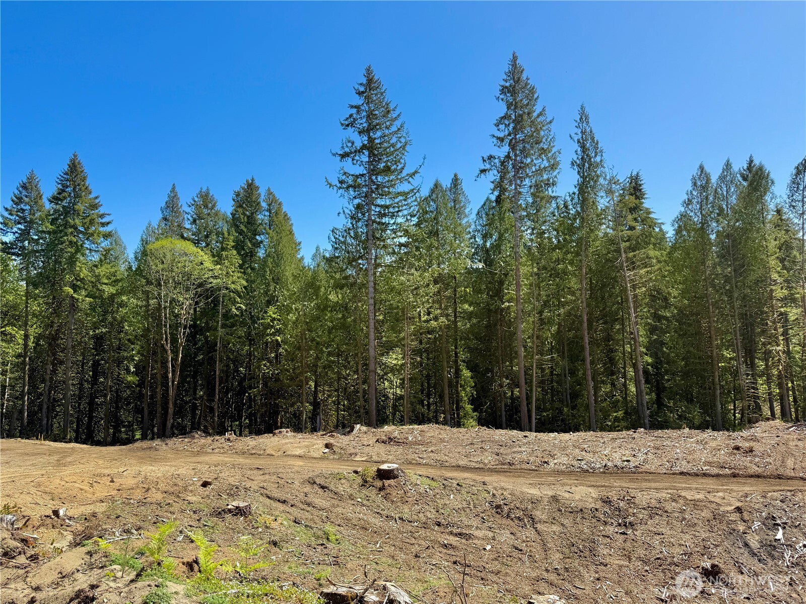 105 E Lakewood Drive Belfair WA 98528