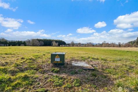 0 Lilly Wheaton Road Raymond WA 98577