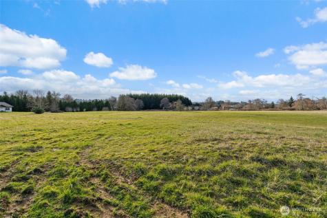 0 Lilly Wheaton Road Raymond WA 98577