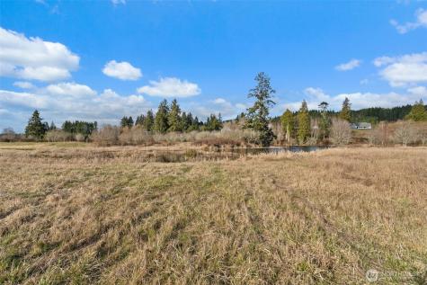 0 Lilly Wheaton Road Raymond WA 98577