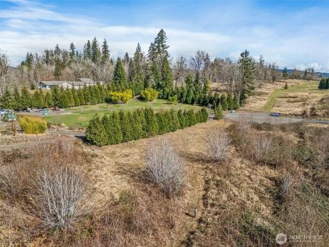 295 Degoede Drive Mossyrock WA 98564