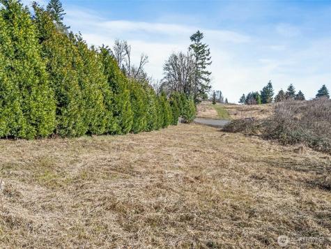 295 Degoede Drive Mossyrock WA 98564