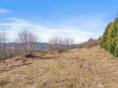 295 Degoede Drive Mossyrock WA 98564